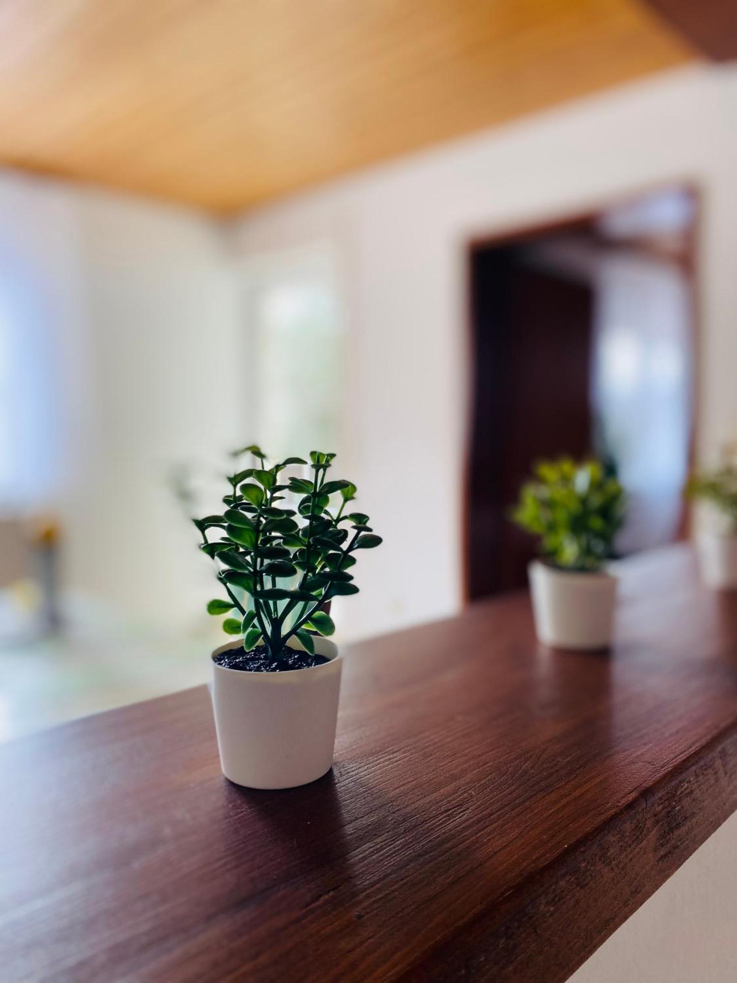 Ferienwohnung Antonia Rattelsdorf エクステリア 写真